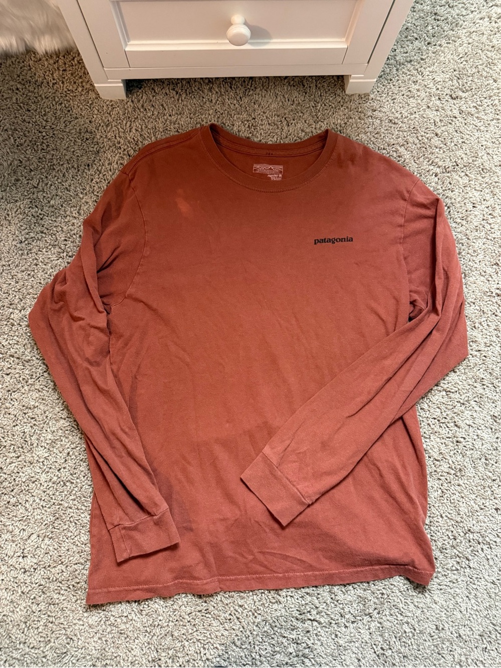 Patagonia Men's Long Sleeve P-6 Logo Graphic T-Shirt